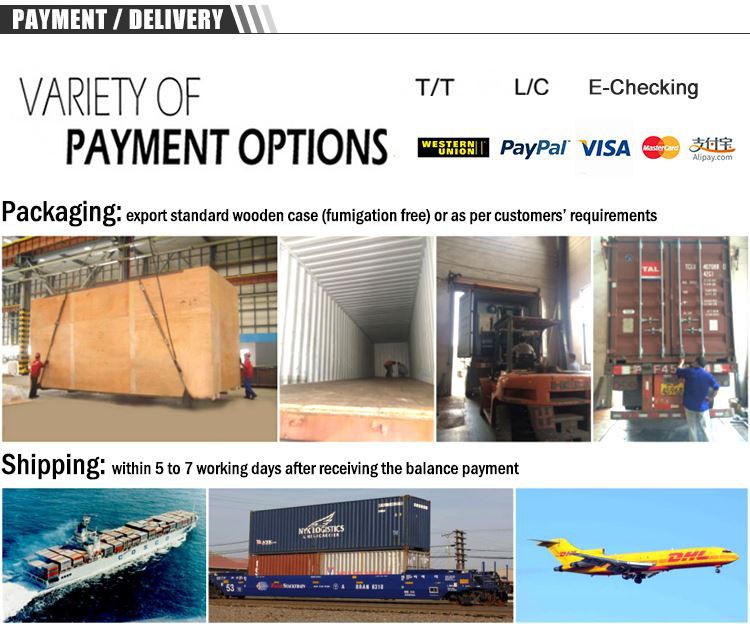 food vacuum packing machine3