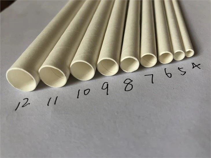 Paper Straw Making Machine manufacturers