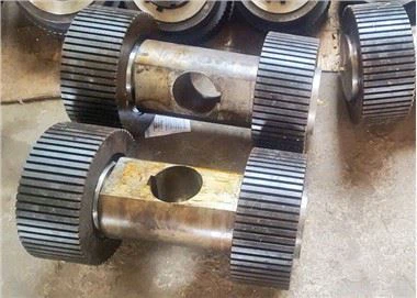 Roller Assembly For Flat Die Pellet Mill
